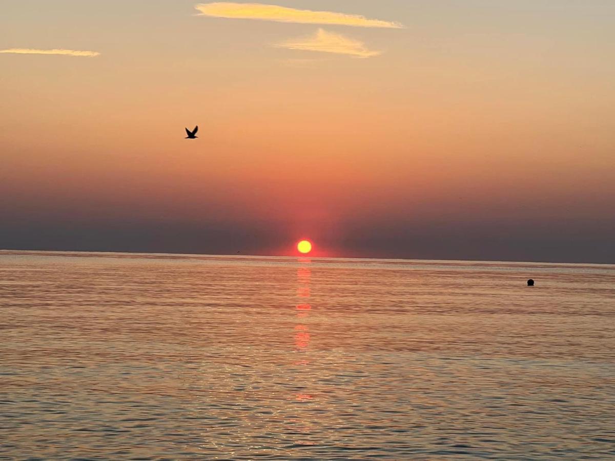 Complex Relax Pomorie All Inclusive Dış mekan fotoğraf